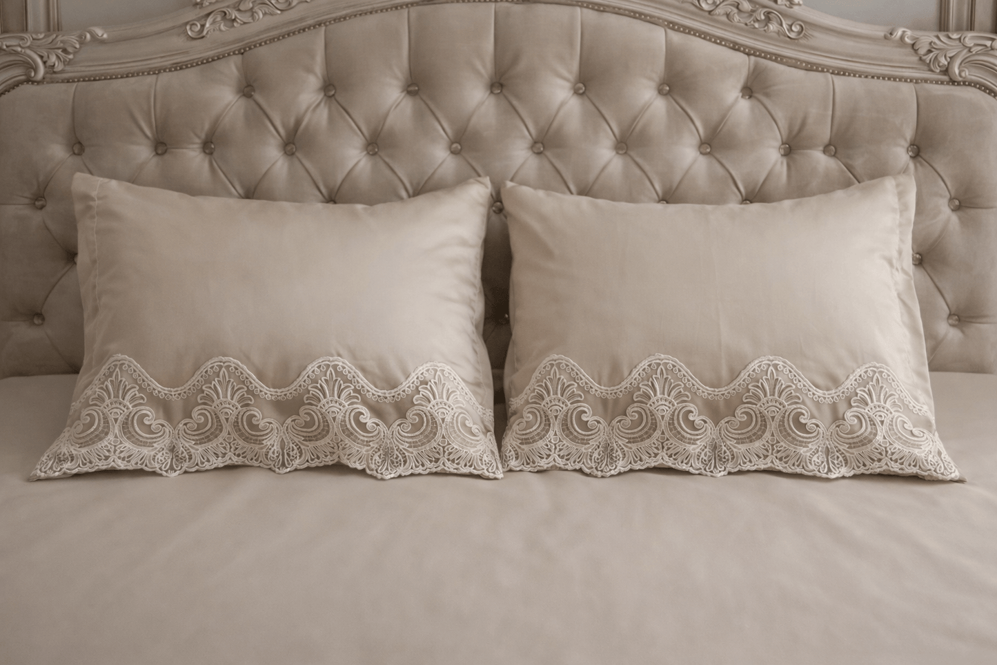 Scallop Luxe